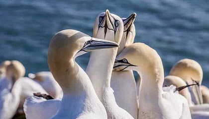 楚雄高价上海医保提取2025的最新政策(2025年楚雄上海医保怎么提取现金分享)