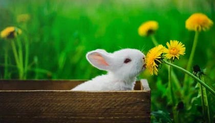 楚雄高价上海医保提取2025的最新政策(2025年楚雄上海医保怎么提取现金分享)